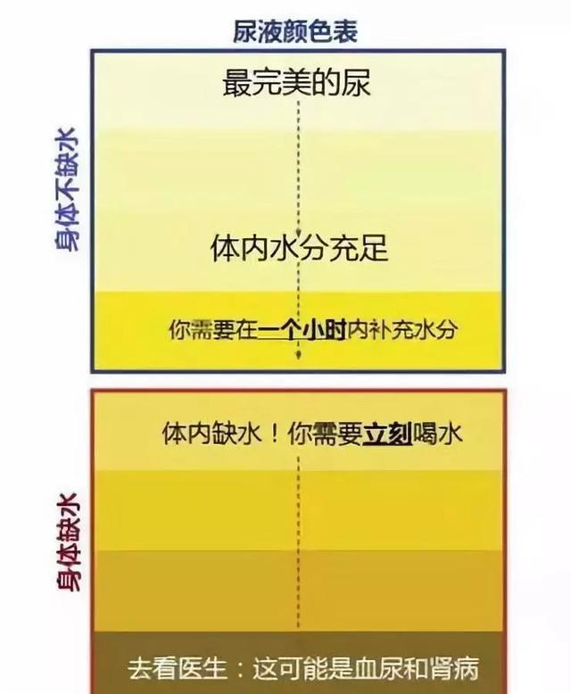 多喝水和少喝水的人，后來會怎樣？一張表格告訴你