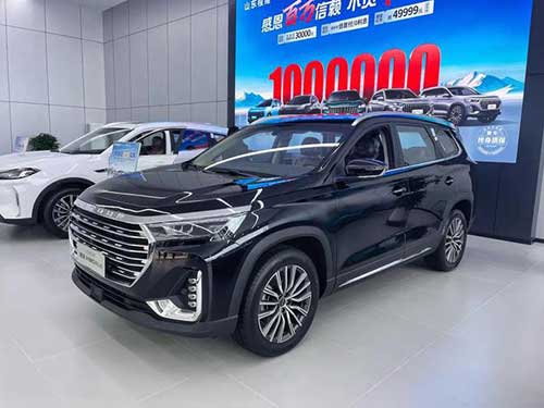 奇瑞捷途、星途雙店試營業(yè)12.jpg